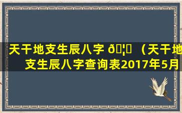 天干地支生辰八字 🦉 （天干地支生辰八字查询表2017年5月8日）